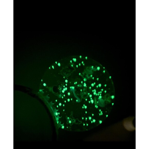 Resin glow in the dark Mouse Ears Headband Enchanting Garden Princess main image 5